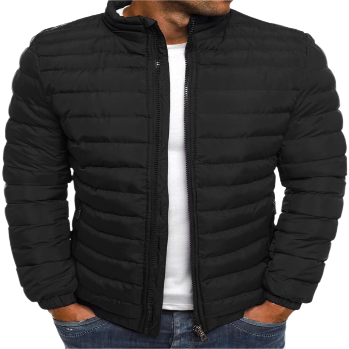 Manuel Veste Matelassée pour Homme – Coupe Droite Légère avec Col Montant & Fermeture Zippée